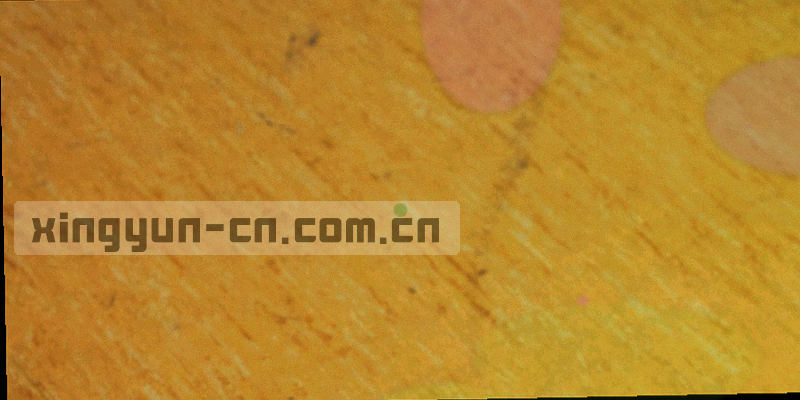 金色与深蓝渐变的限时活动视觉海报